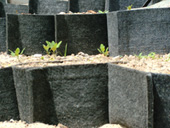 ���������� ����������